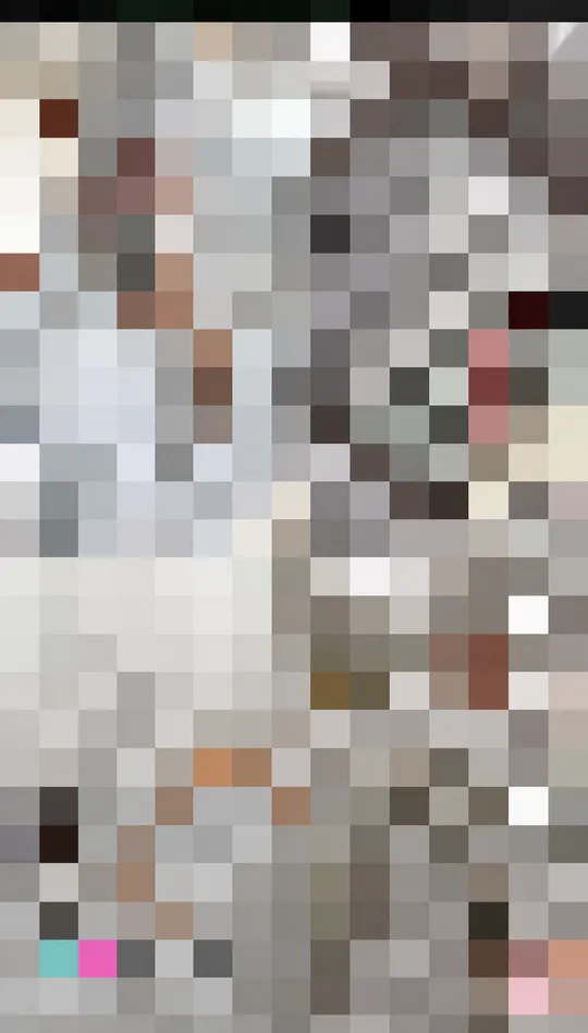 MIRROR — capture TikTok pixellisée 2