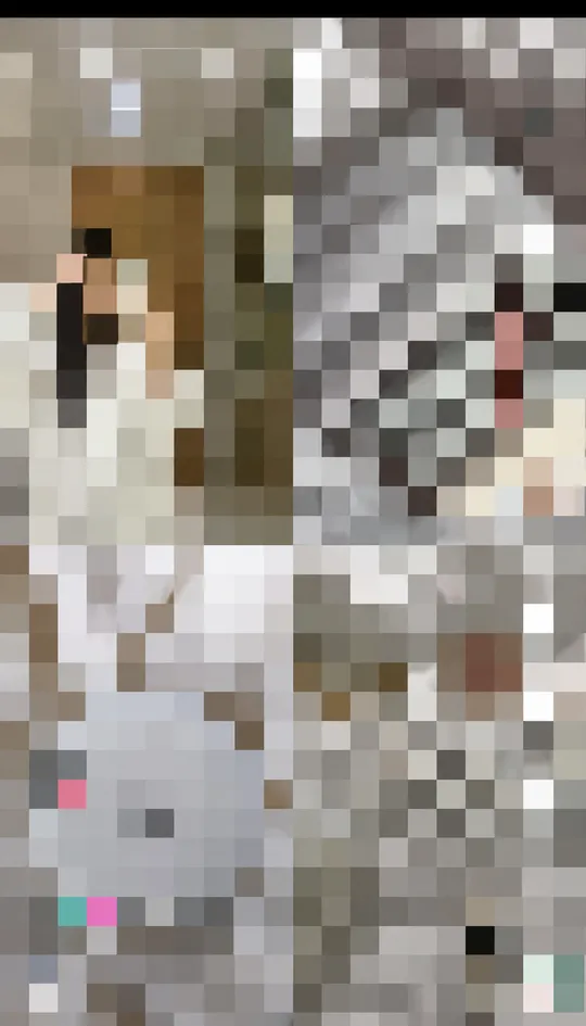 MIRROR — capture TikTok pixellisée 3
